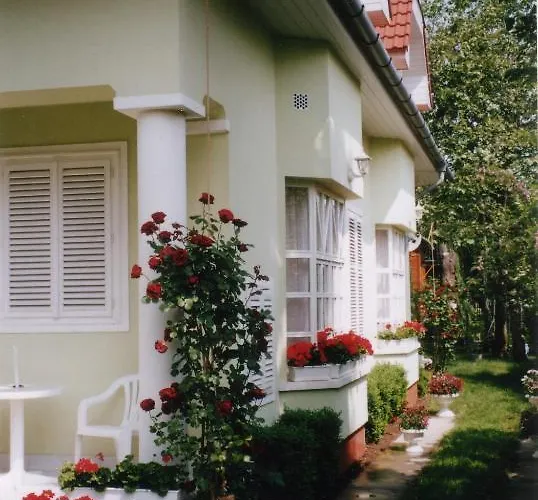 Csokonai זמראדי